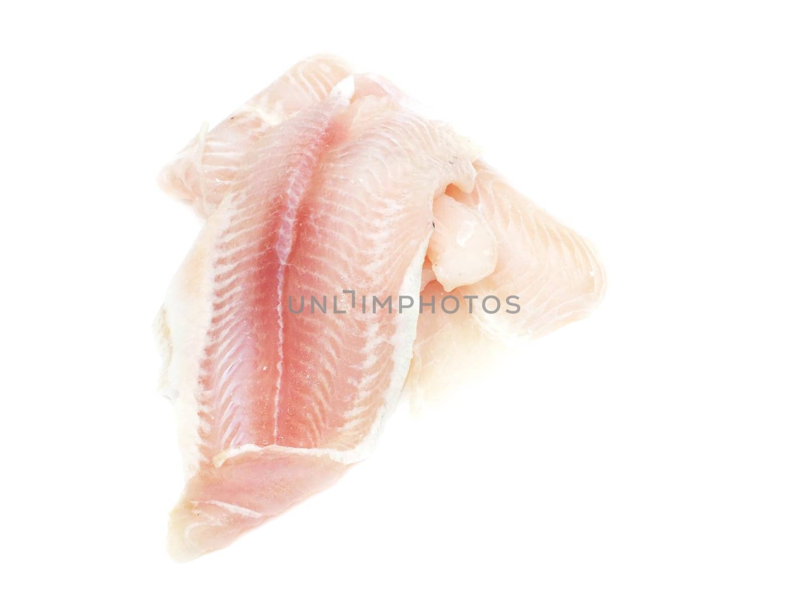 Pangasius