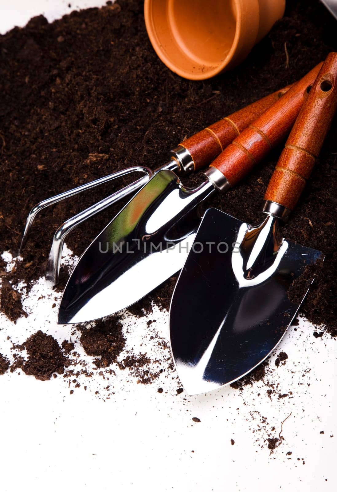 Garden concept