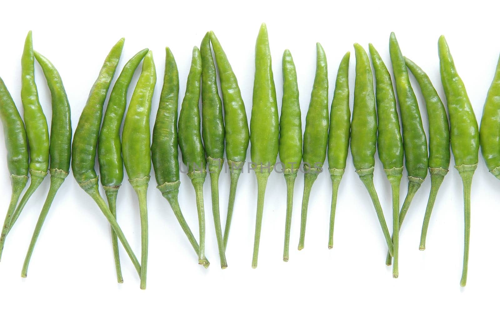 fresh chili isolated