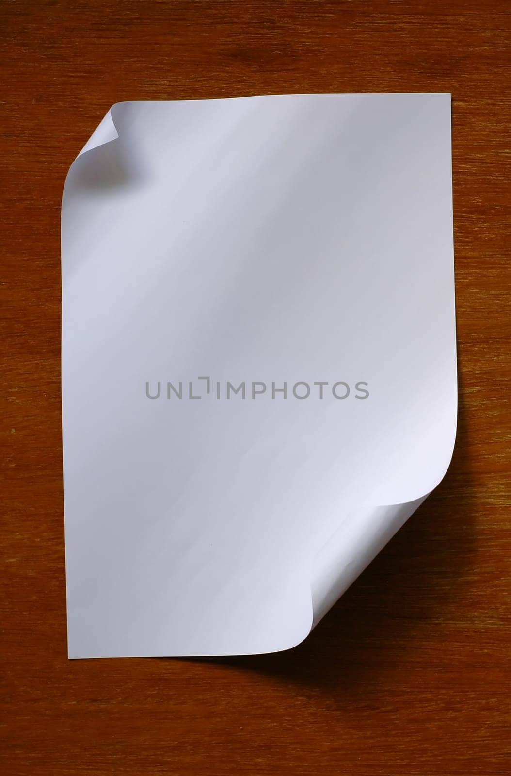 paper on wooden wall