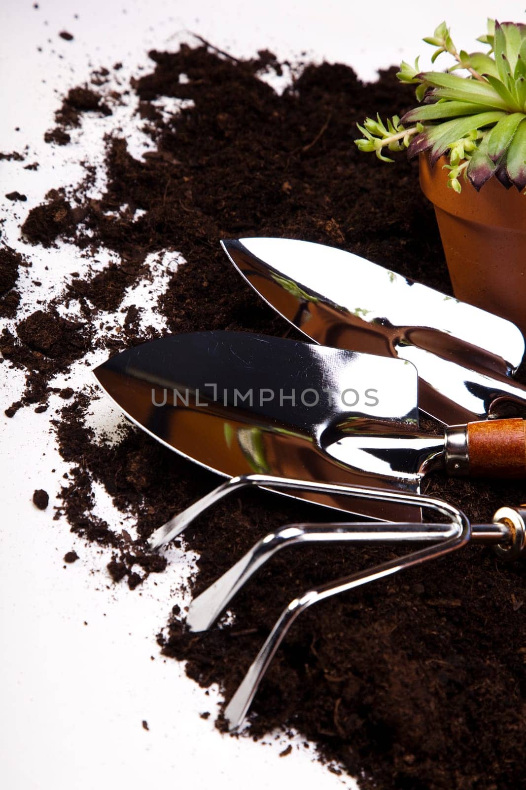 Garden concept