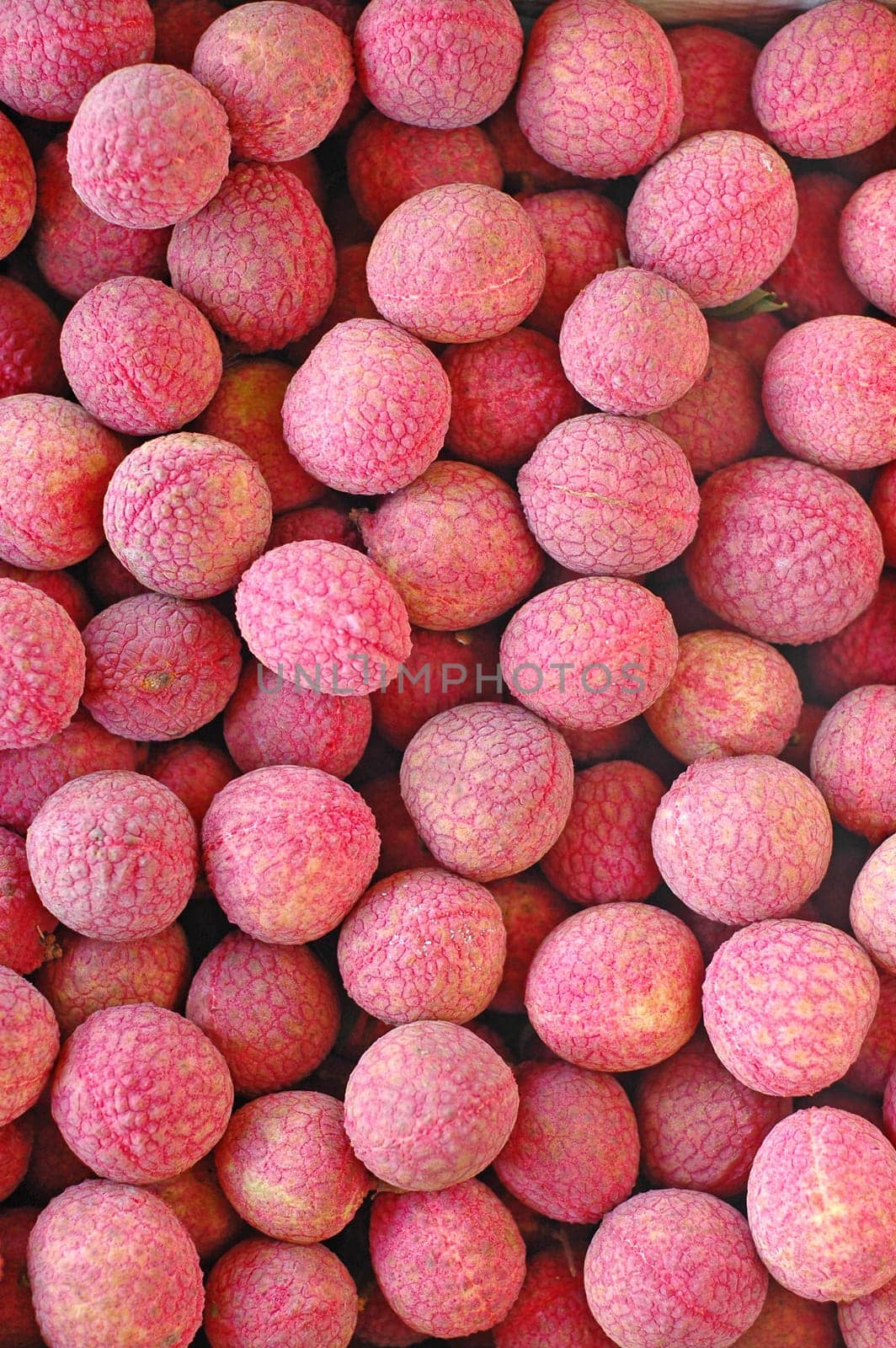lychee