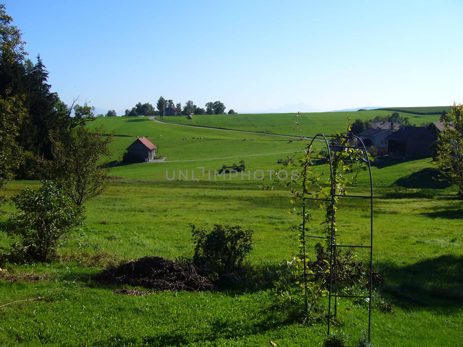 Peaceful countryside