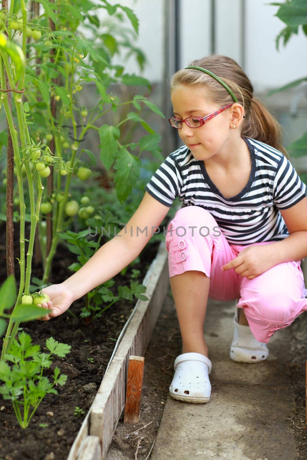 Cute girl in the hothouse holding tomatoes