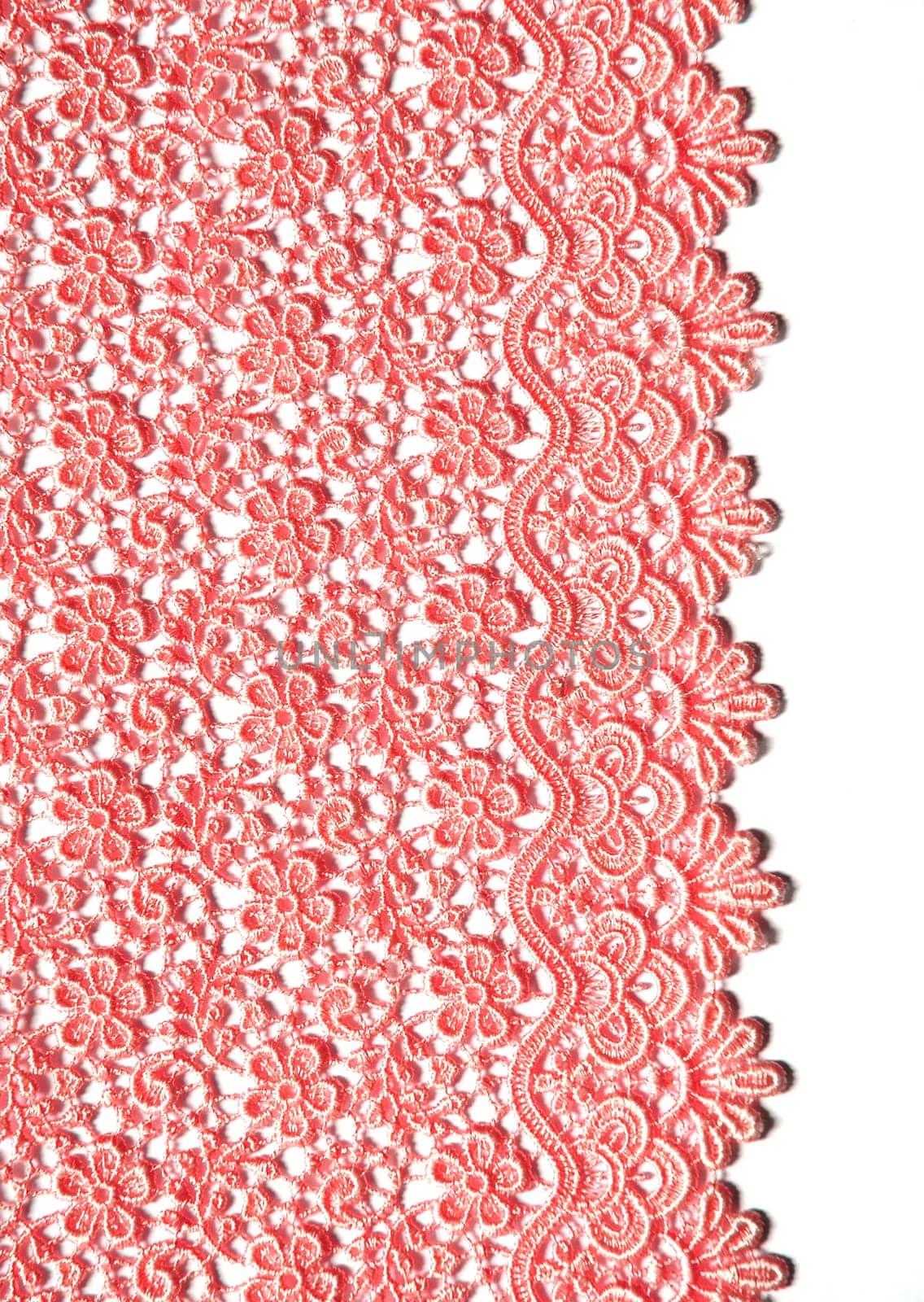lace isolated