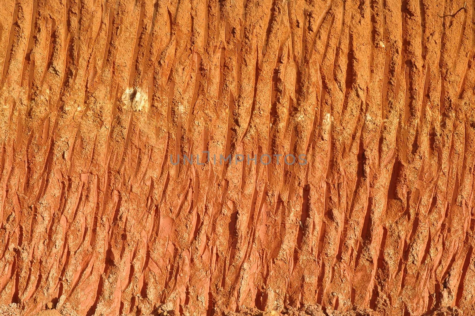 textured of land section