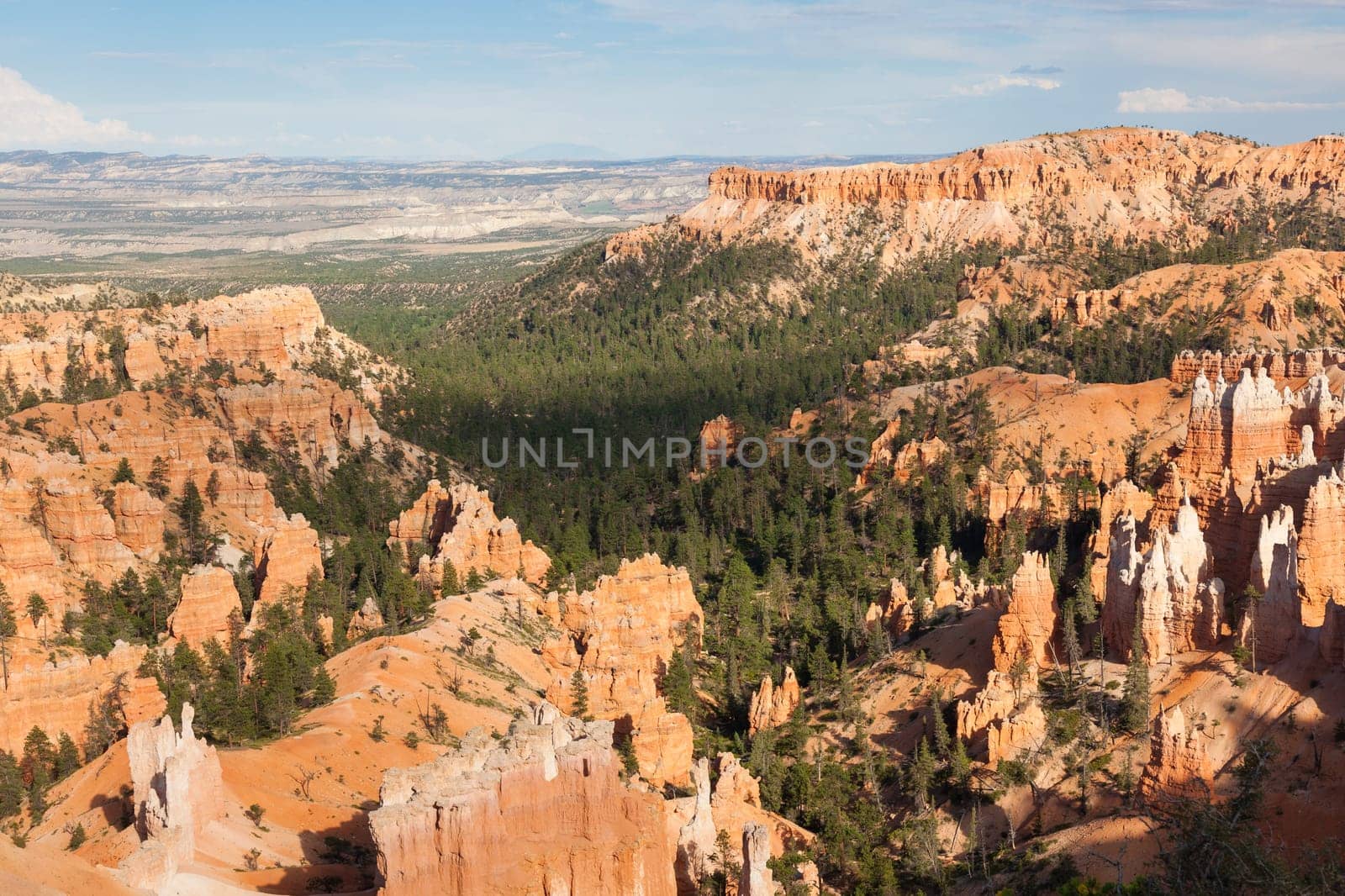 Bryce canyon national park in Utah  - USA