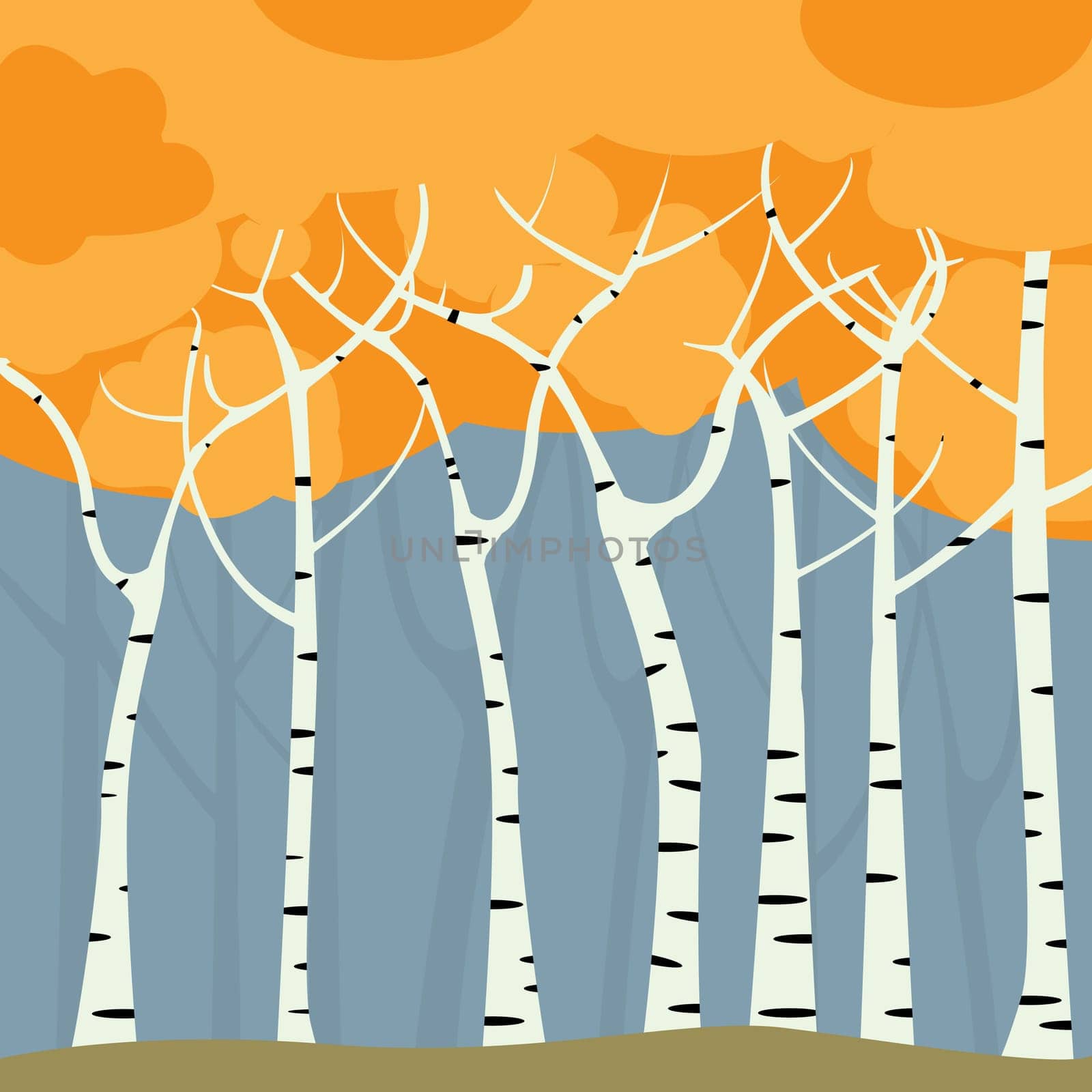 Romantic birch forest background, graphic art