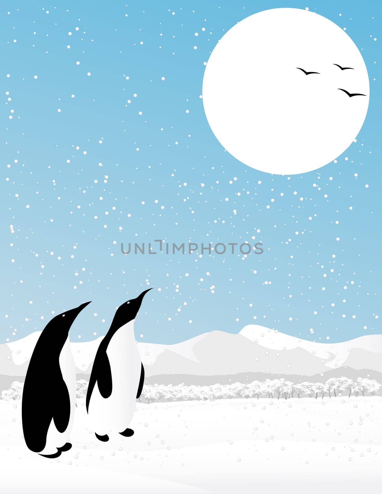 Winter scene with two penguins watching flying birds.