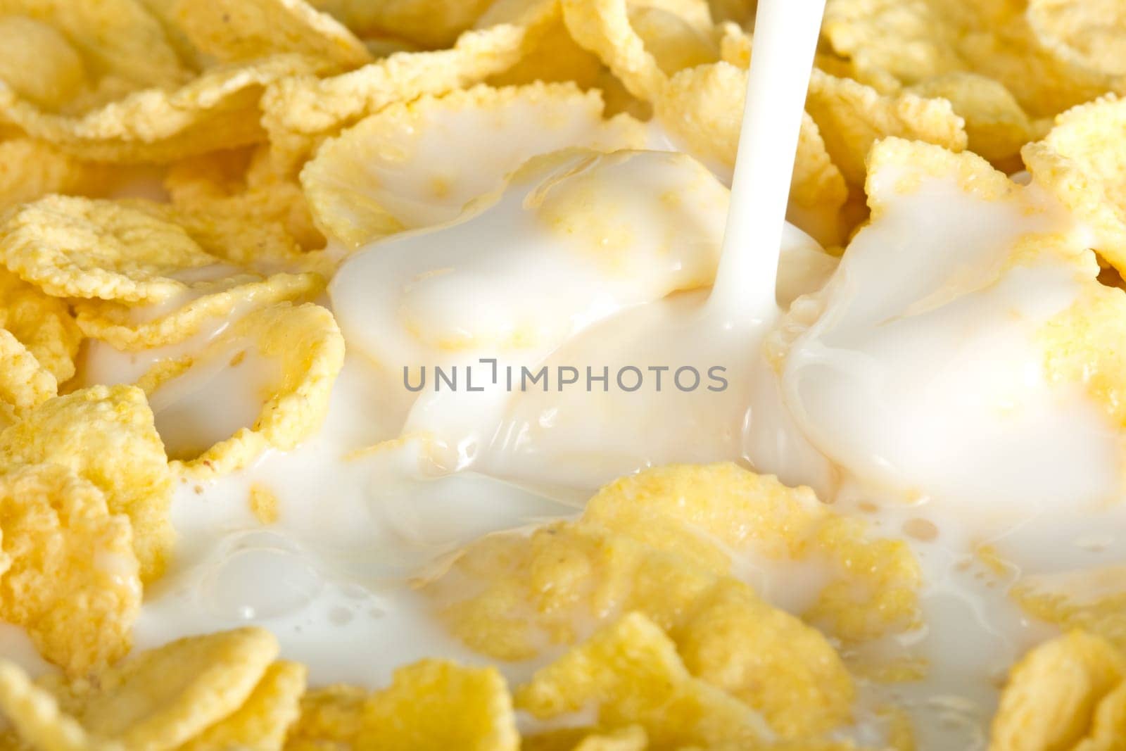 milk pouring on a nutritious and delicious corn flake cereal