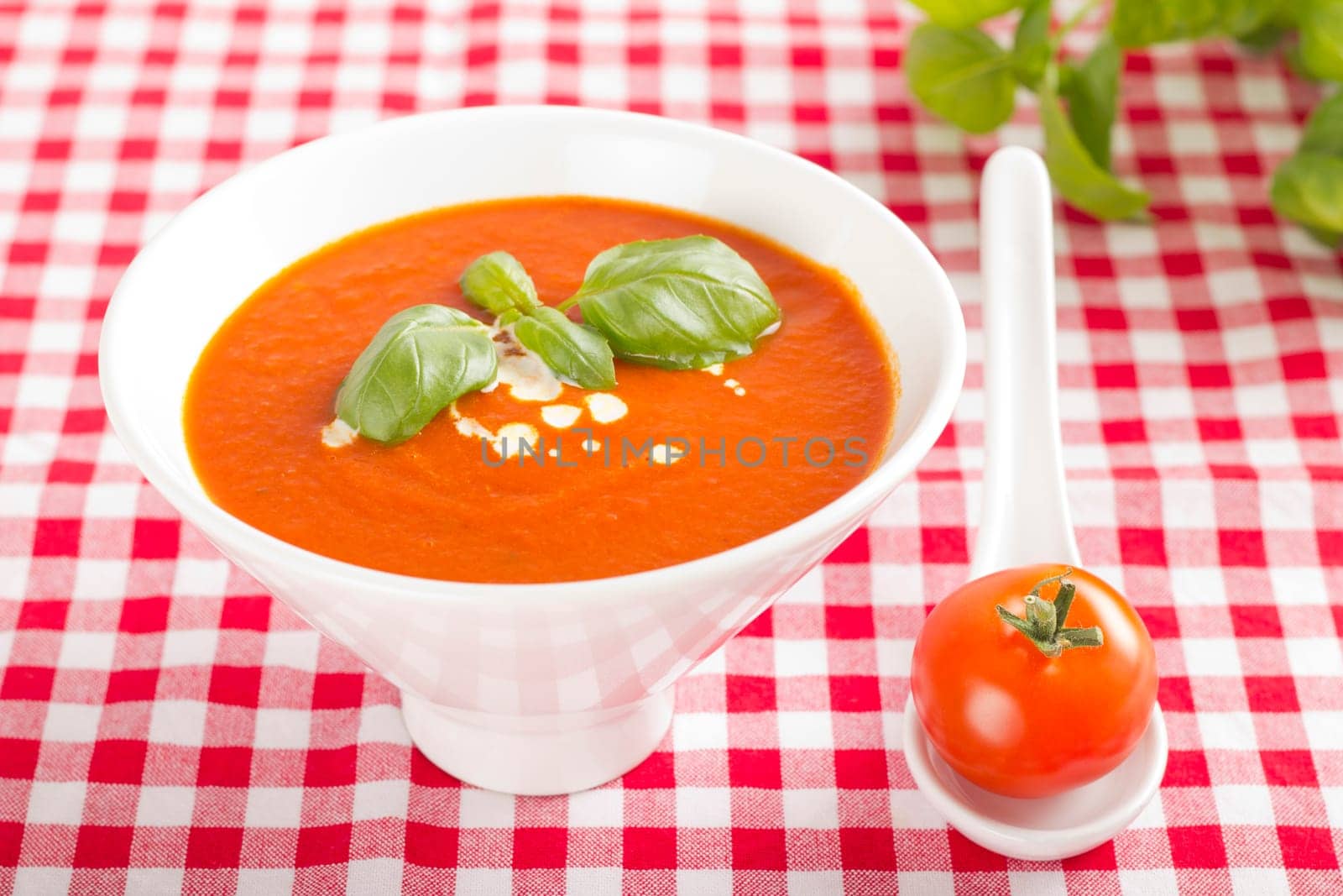 Tomato soup in white bowl on red and white checkered tablecloth