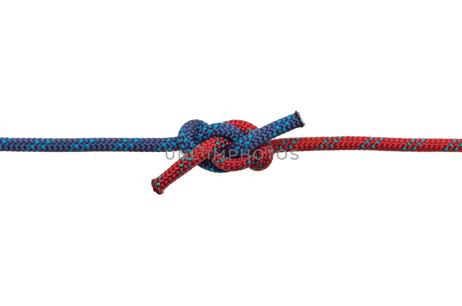 Ashley Knot