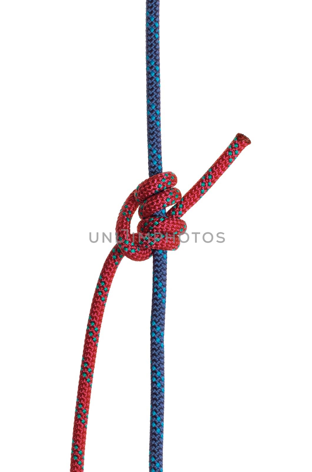 Blake Knot