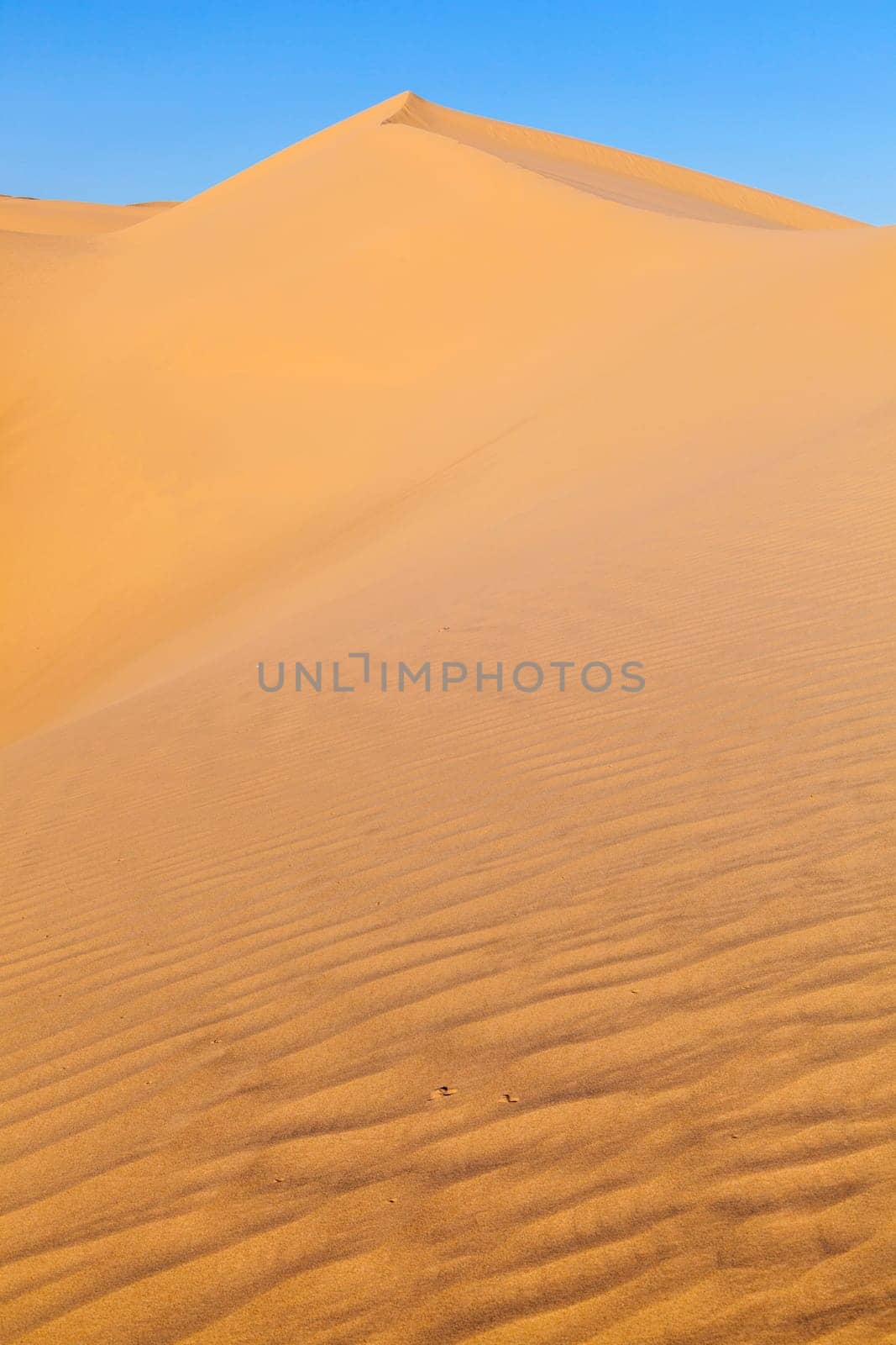 beautiful sand dune in sunrise in the desert