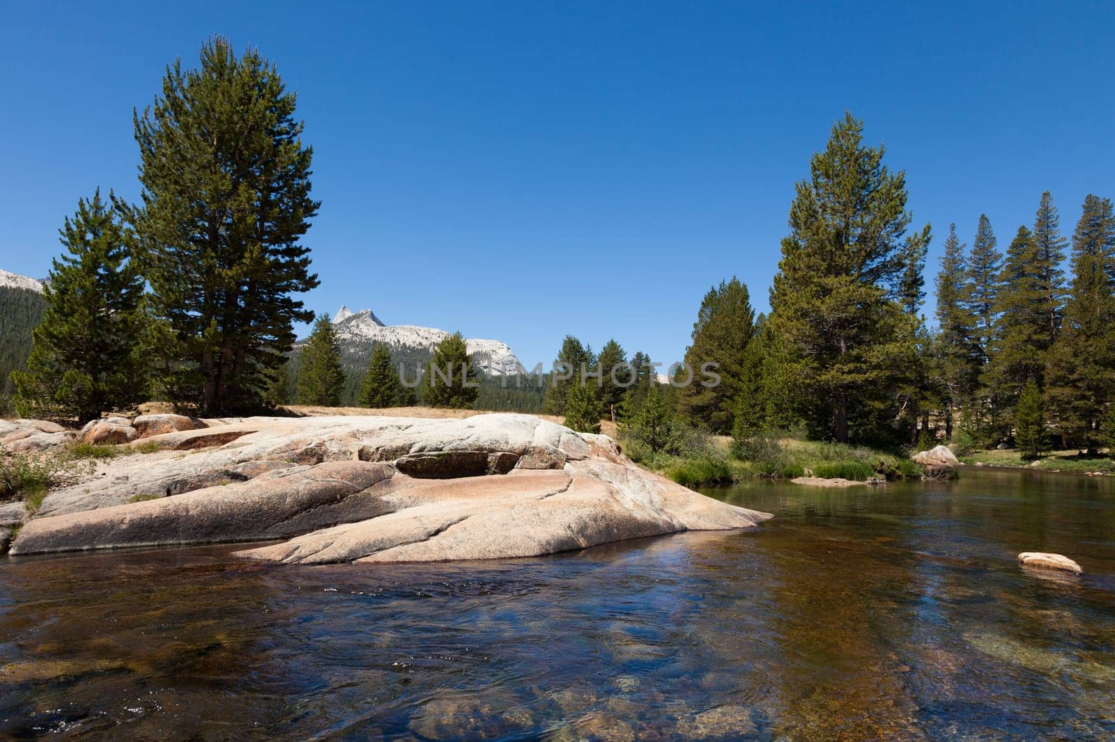 Yosemite national park in California - USA