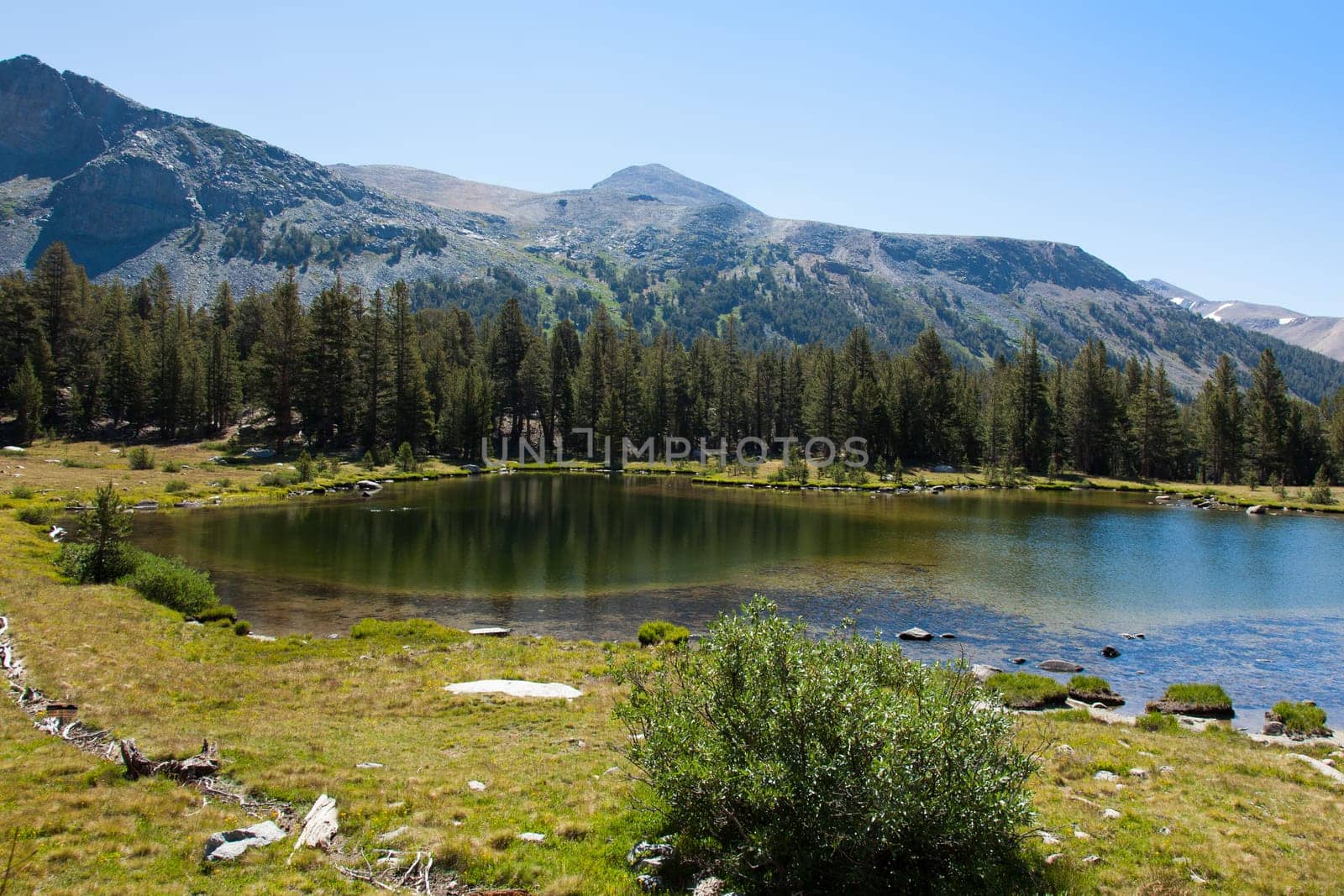 Yosemite national park in California - USA