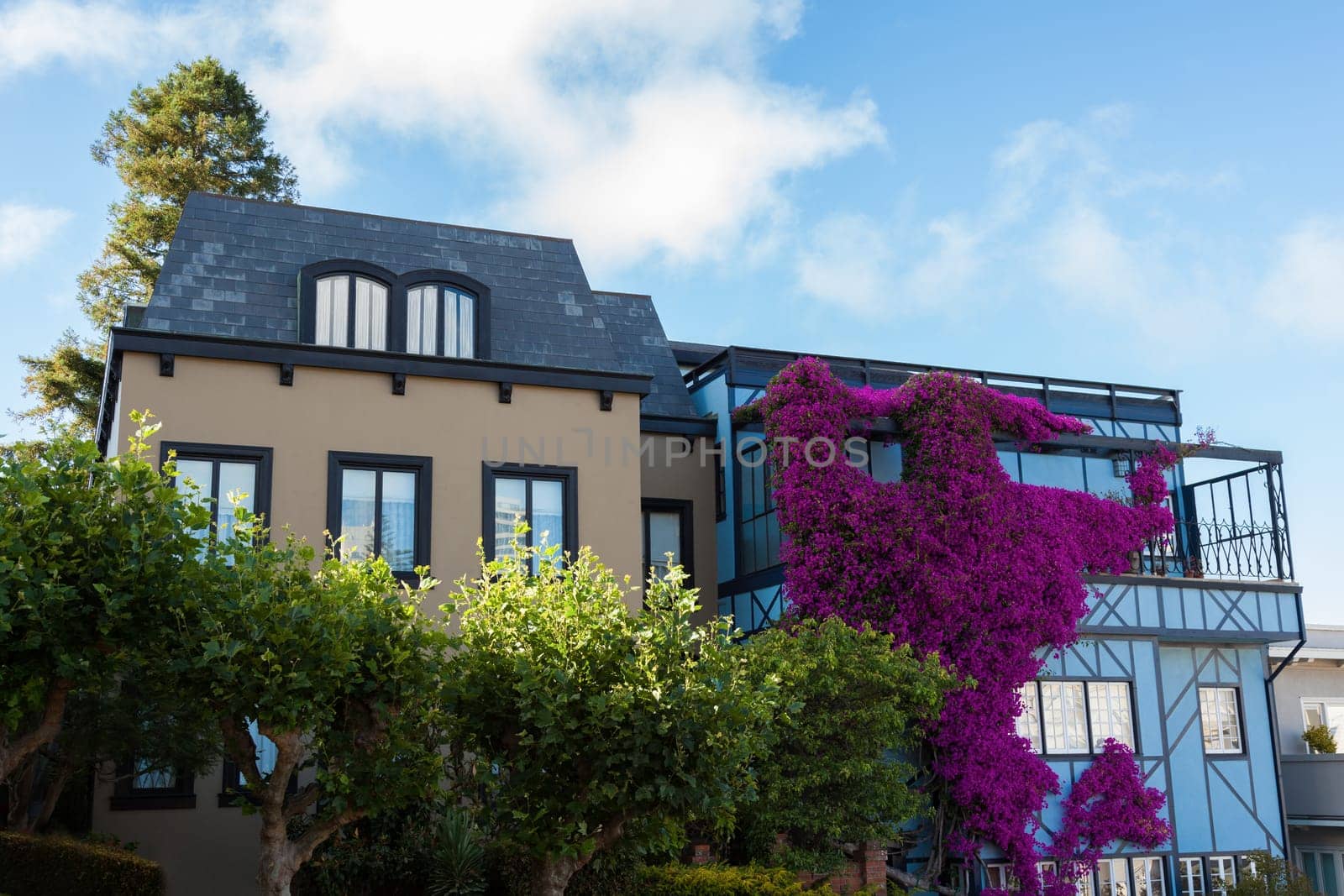 View of Lombard Street, the crookedest street in the world, San Francisco, California - USA