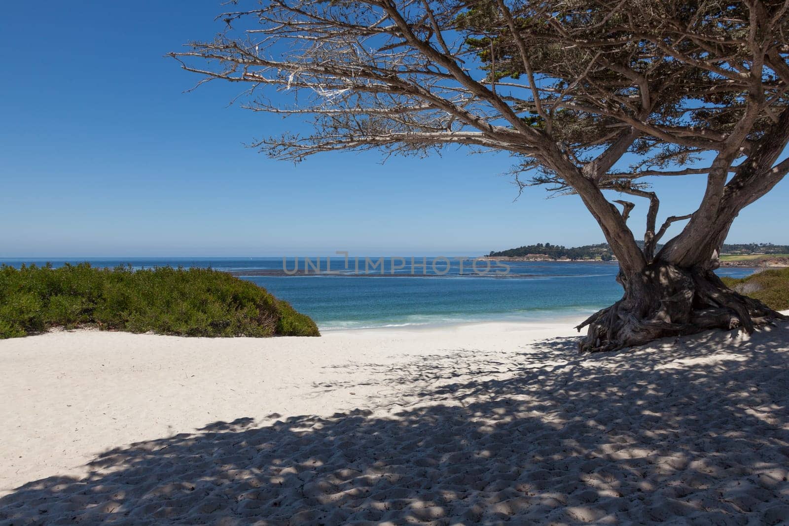 Carmel beach in Carmel, California - USA