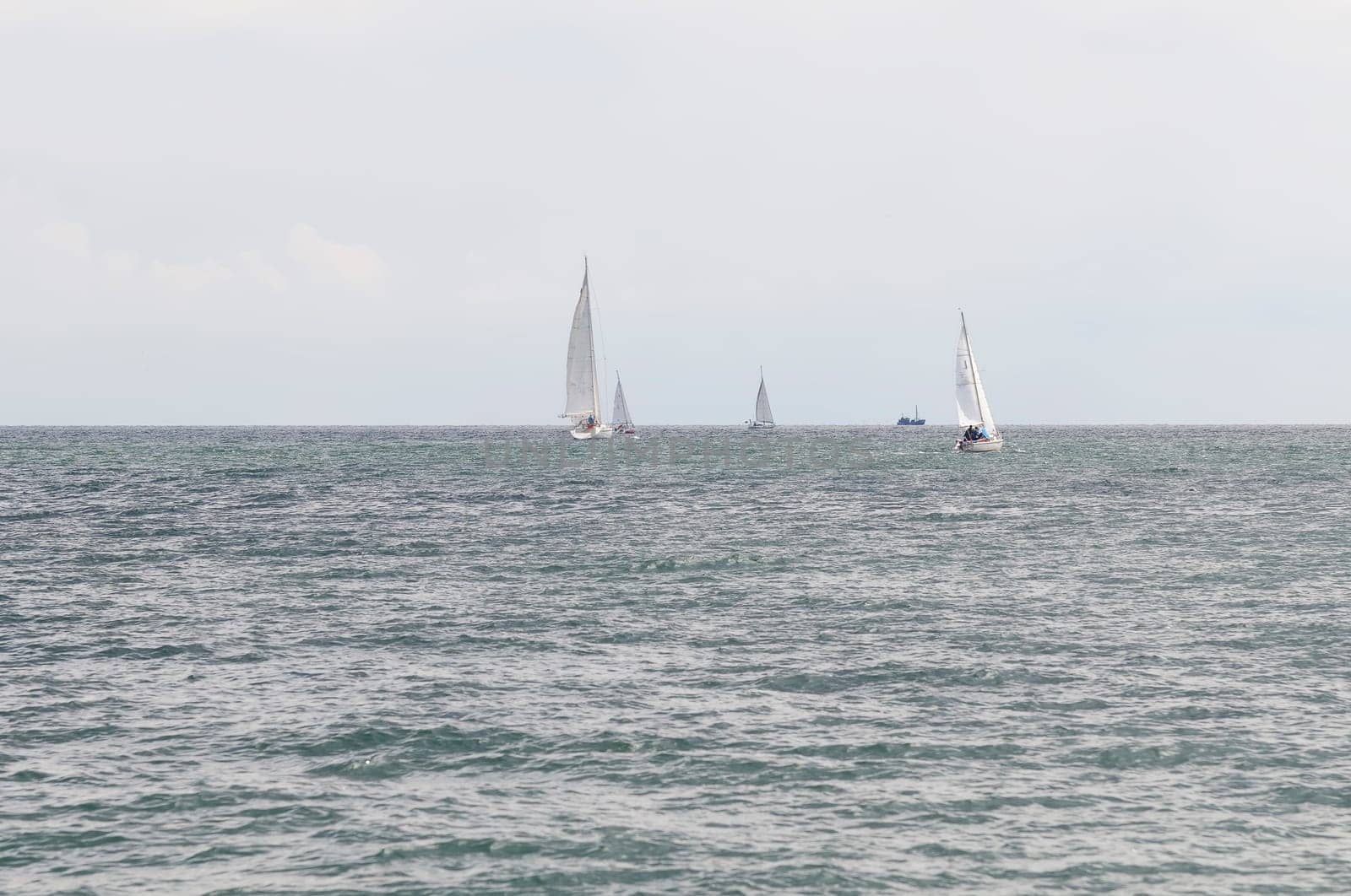 water sports