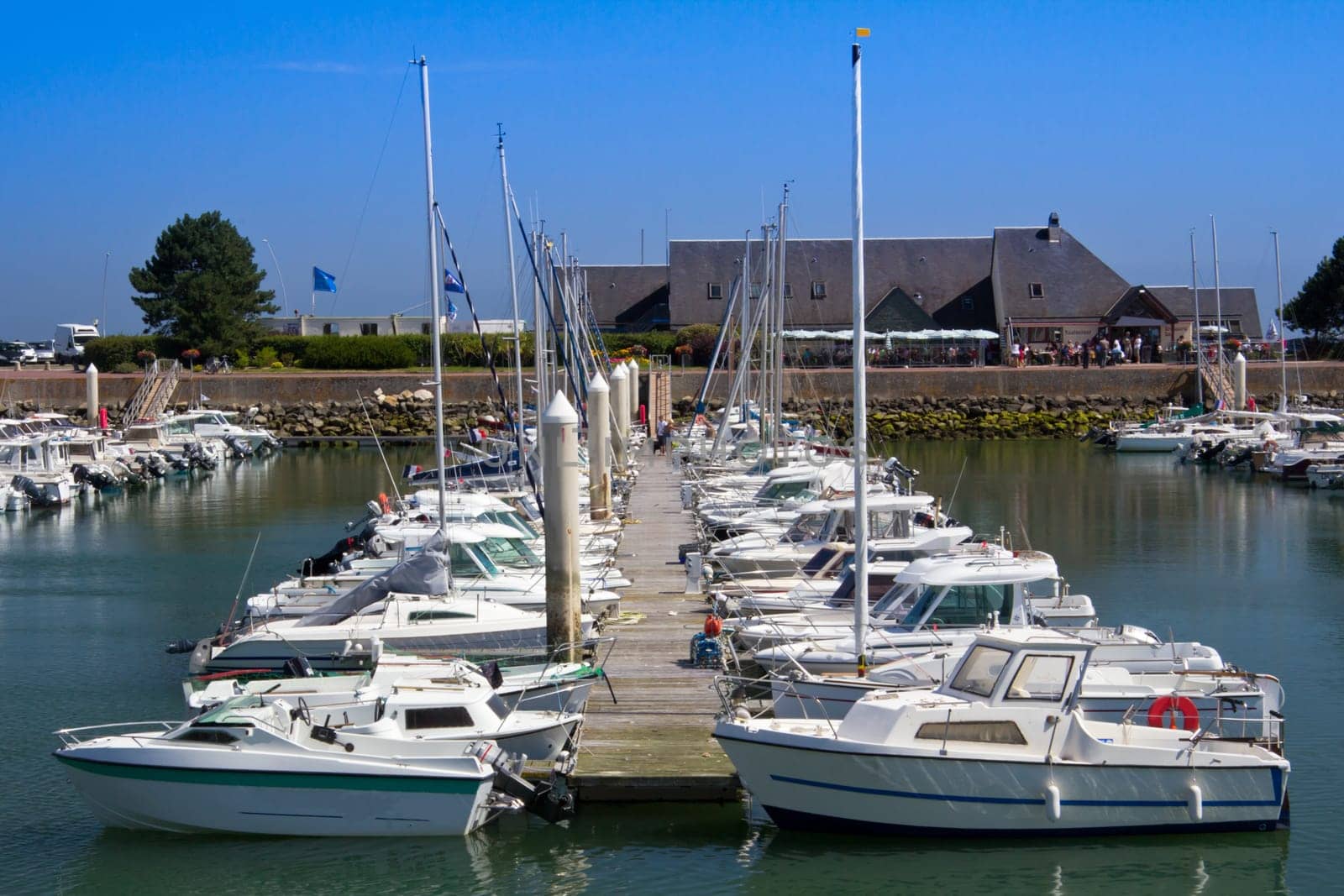 Rows of yachts berthed in a french marina