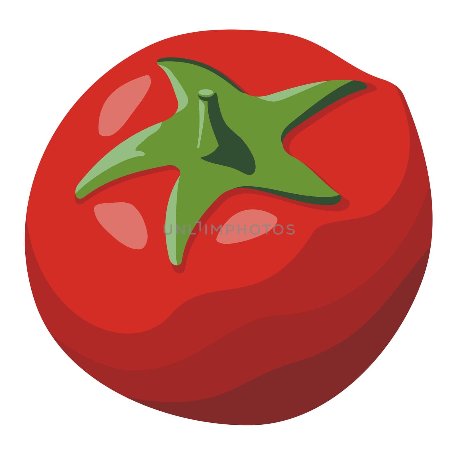 Red tomato simple illustration isolated on white background