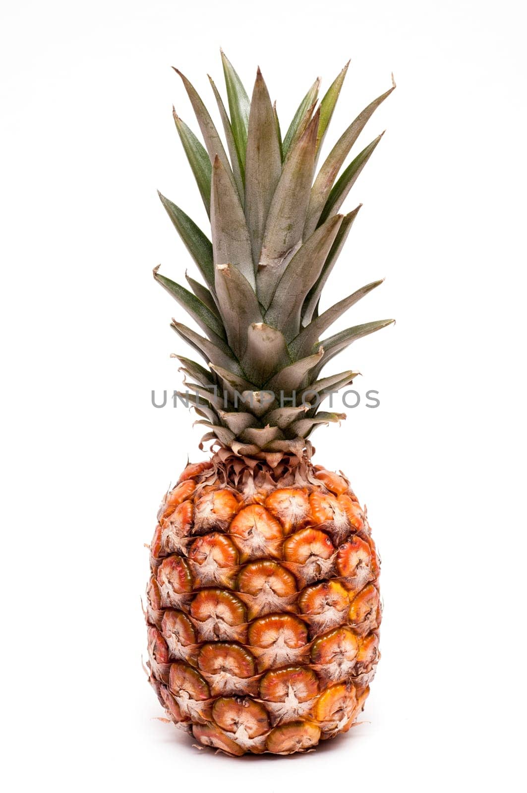Little dwarf gananas in front of white background