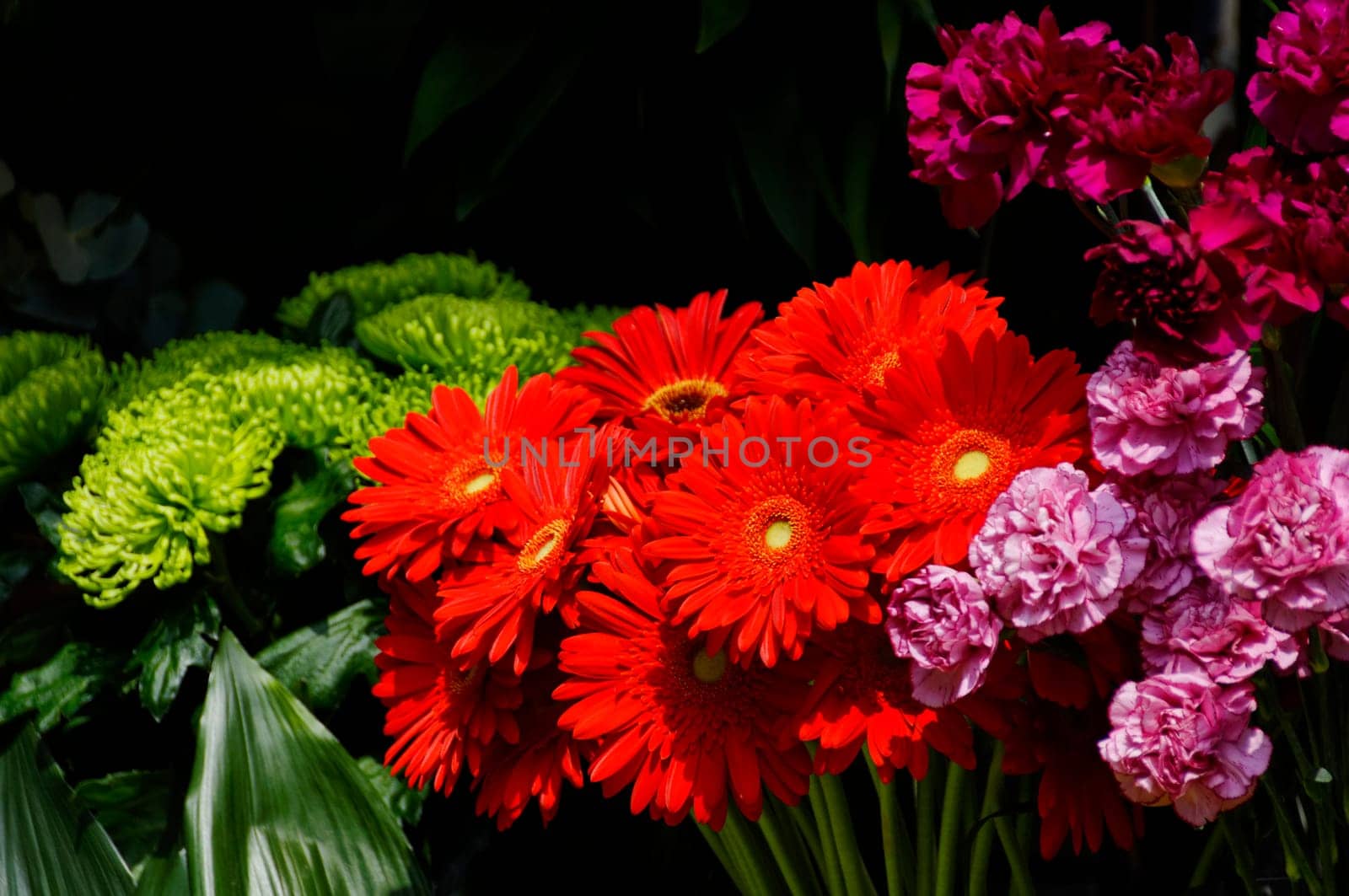 Flowers on a florist stall, red gerbera daisies