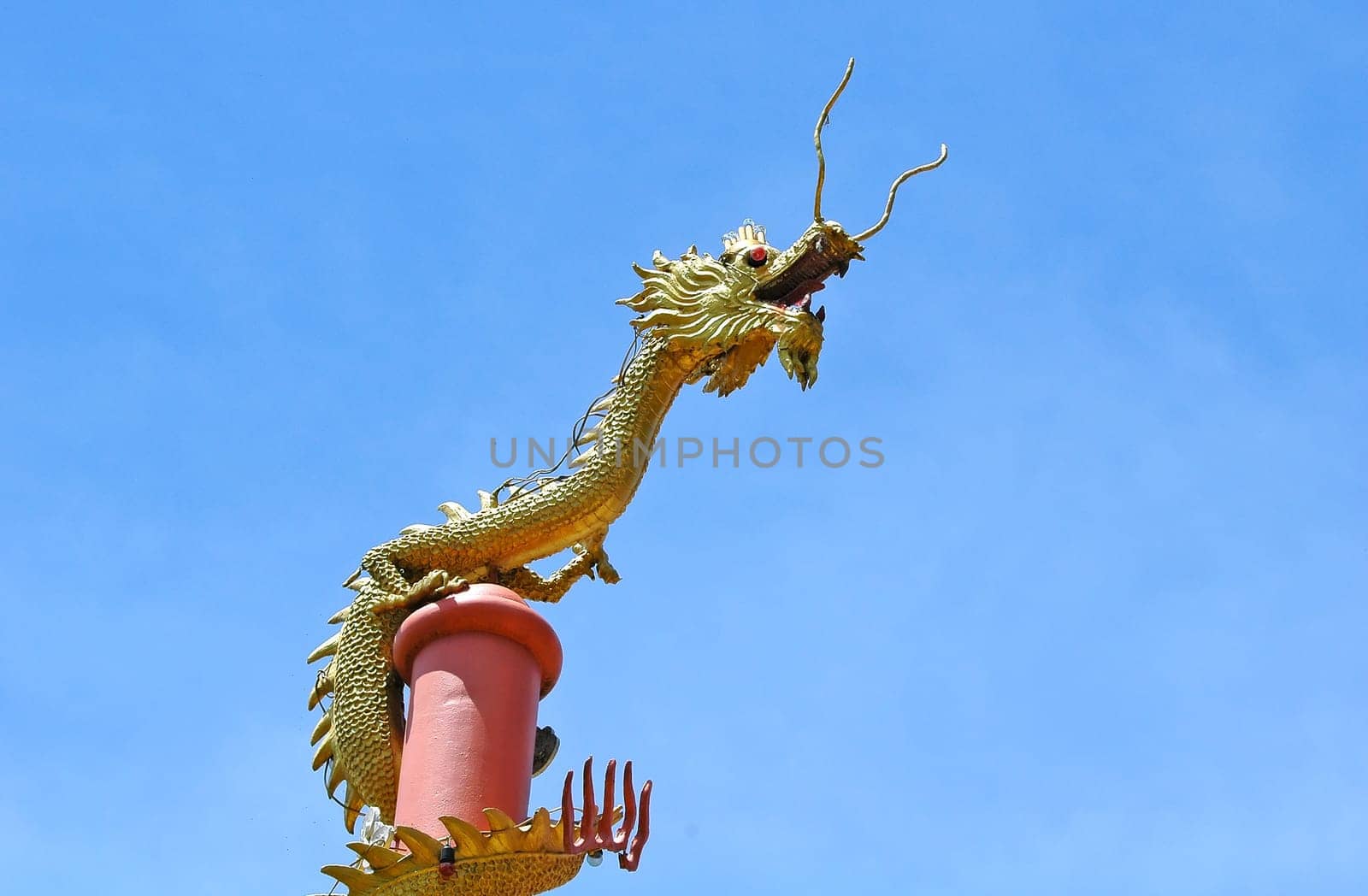 dradon statue in taton temple ,thailand