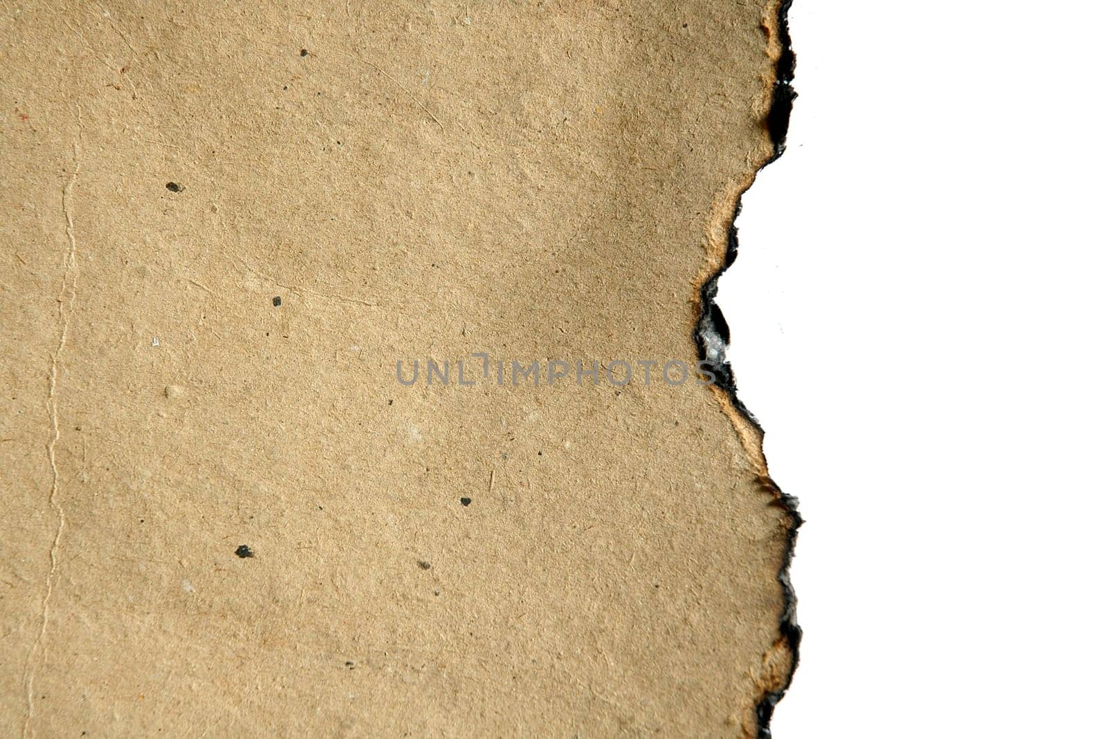 burned paper isolated