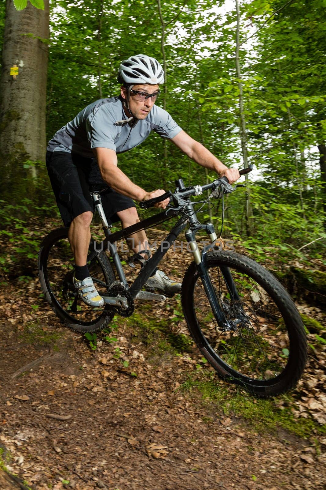 Mountain bikers in downhill