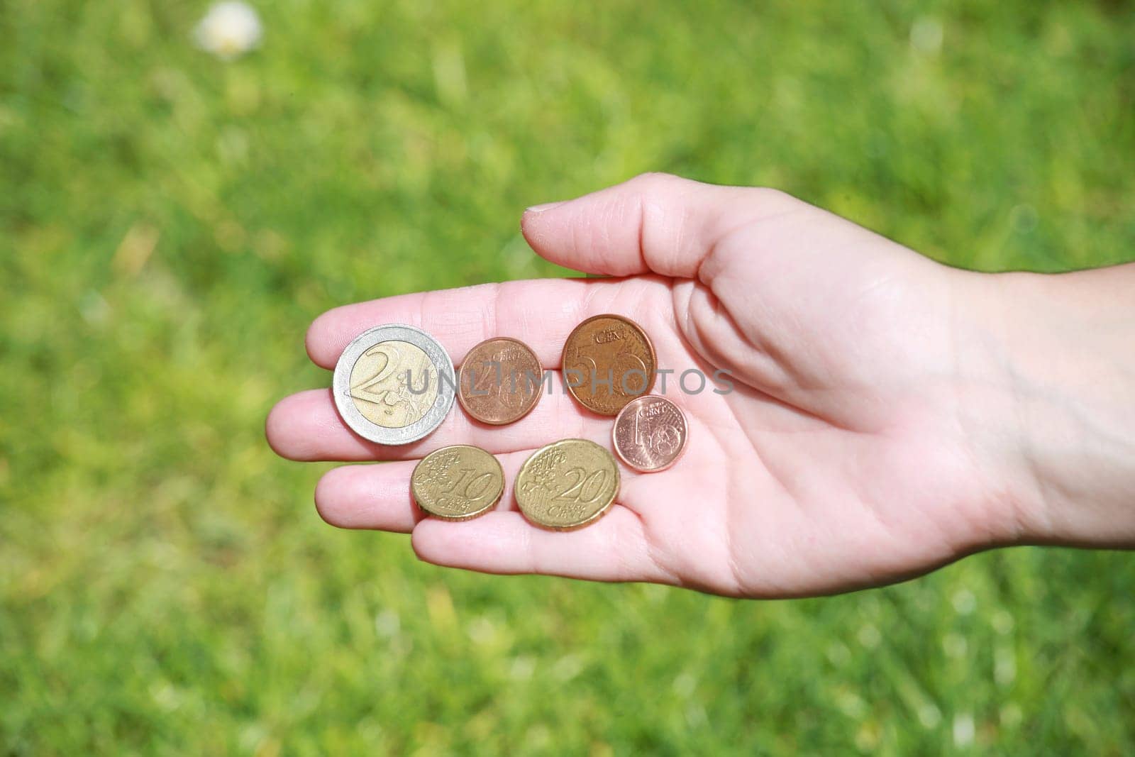 Female hands opened with euro coins