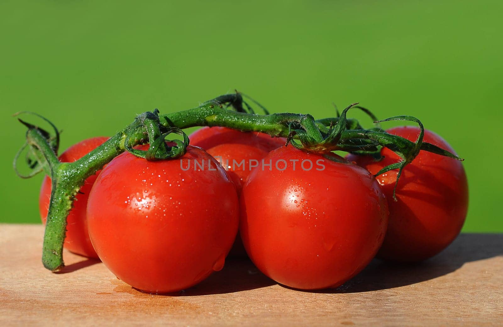 Tomatoes