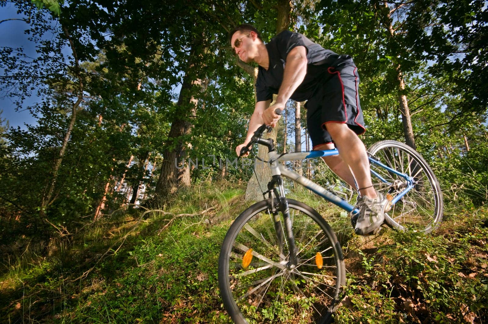Downhill mountain bike rider in wooded environment and side view