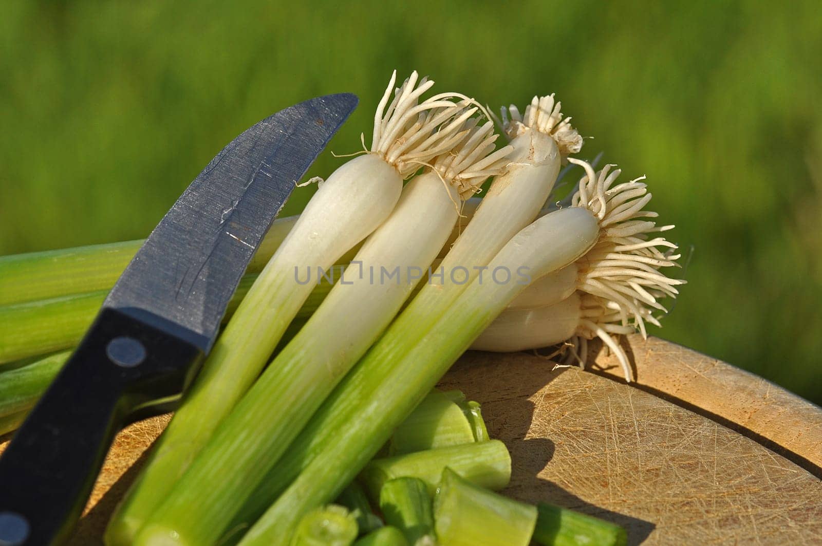 Spring onions