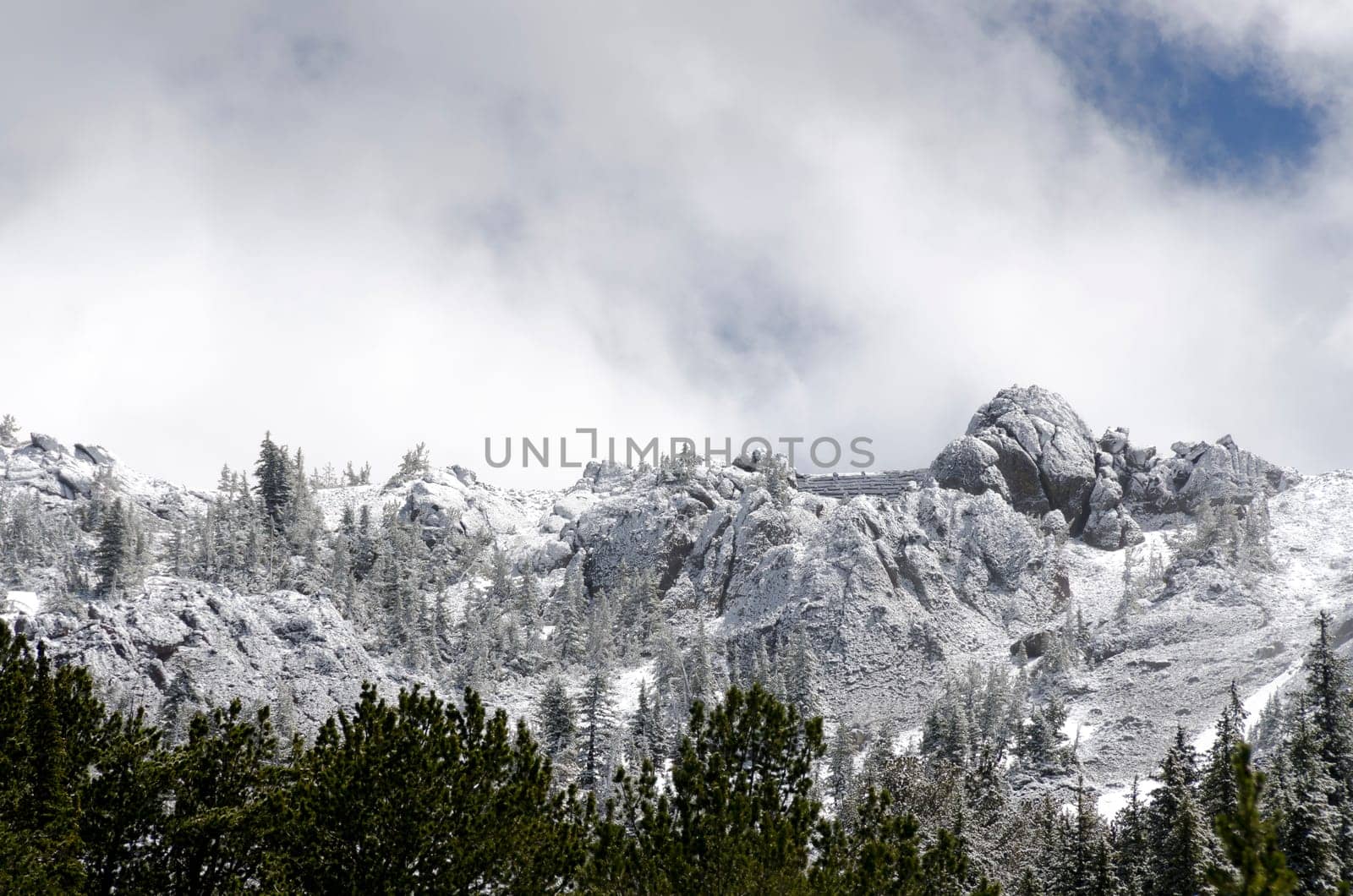 snow-capped mountains in the summer in Yellowstone National Park in Wyoming in the United States of America