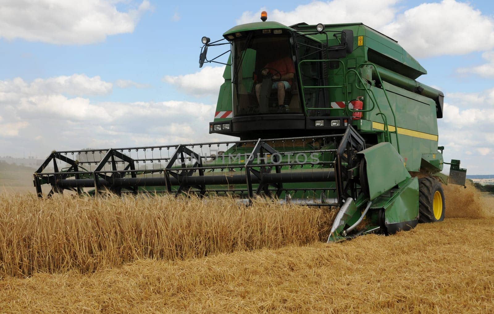 Harvesting spring barley