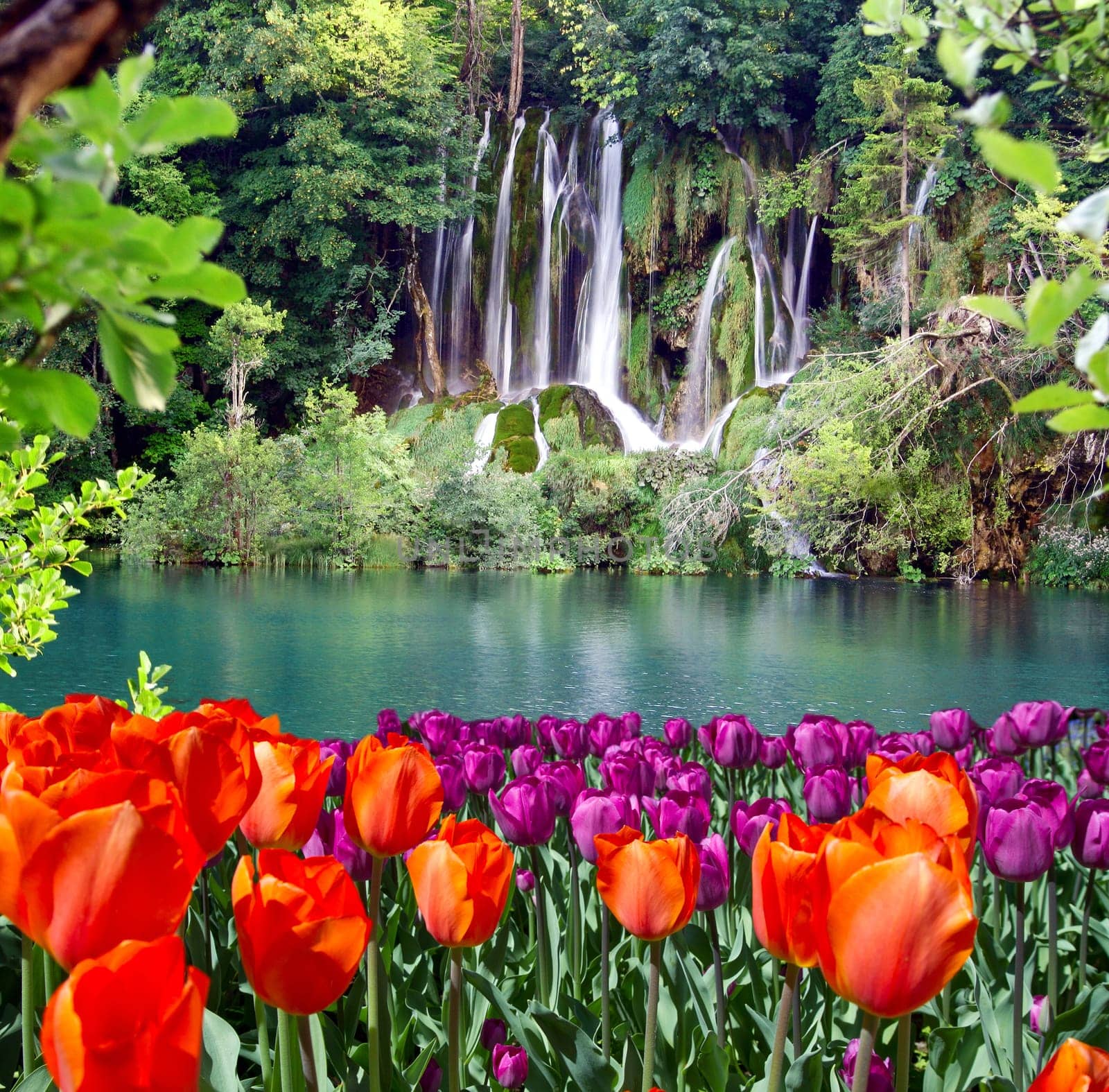 waterfall
