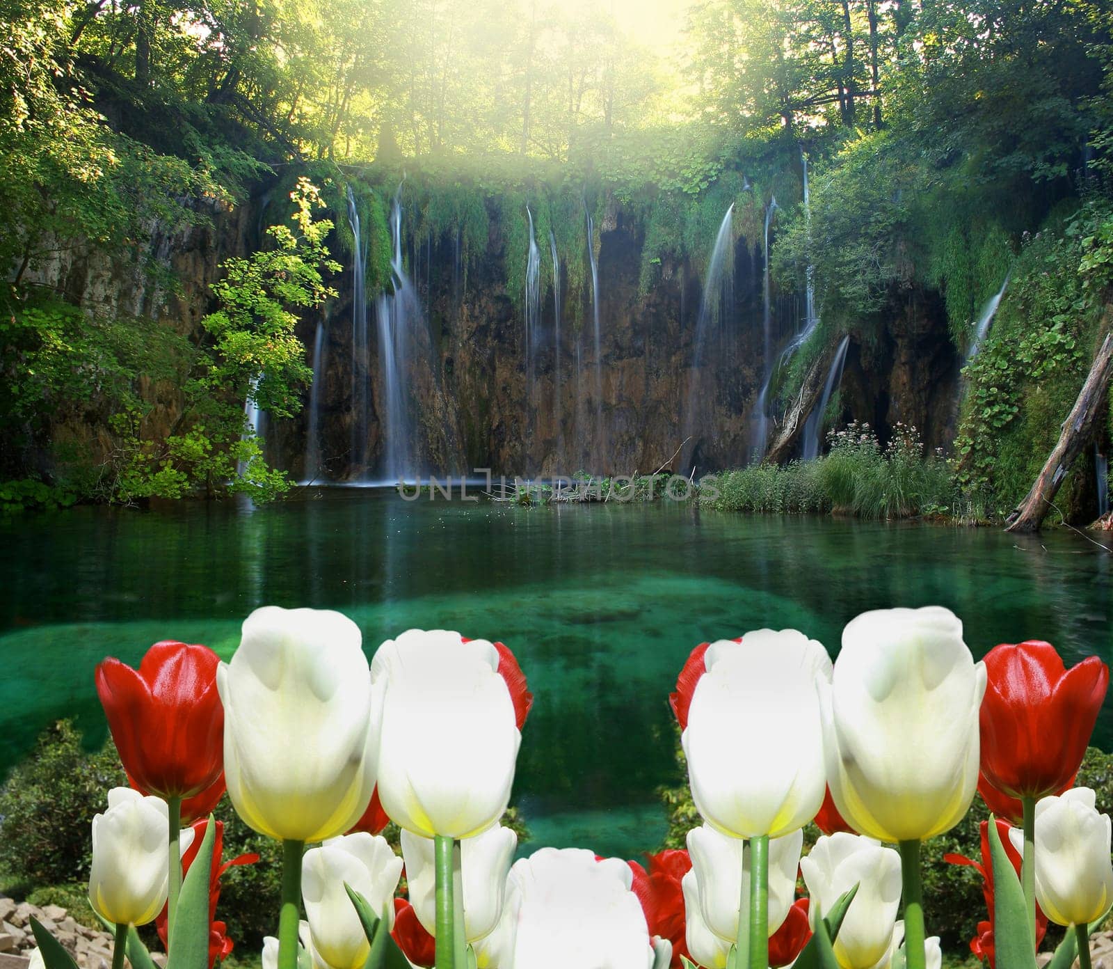 waterfall