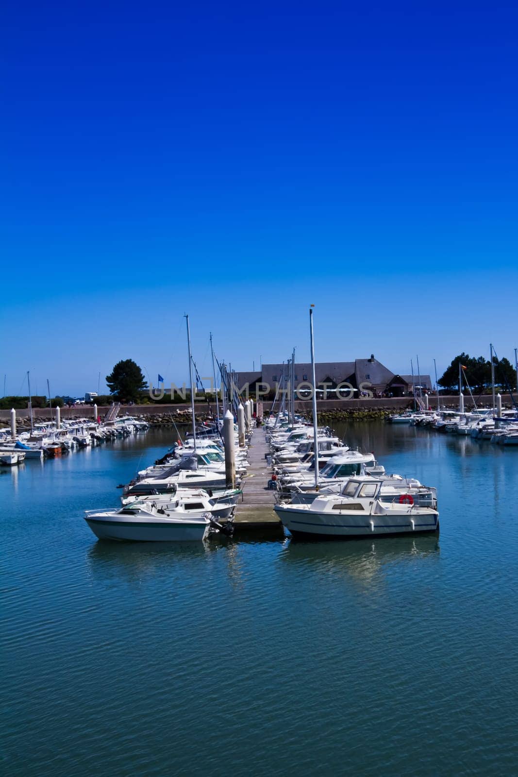 Yachts moored In a Marina