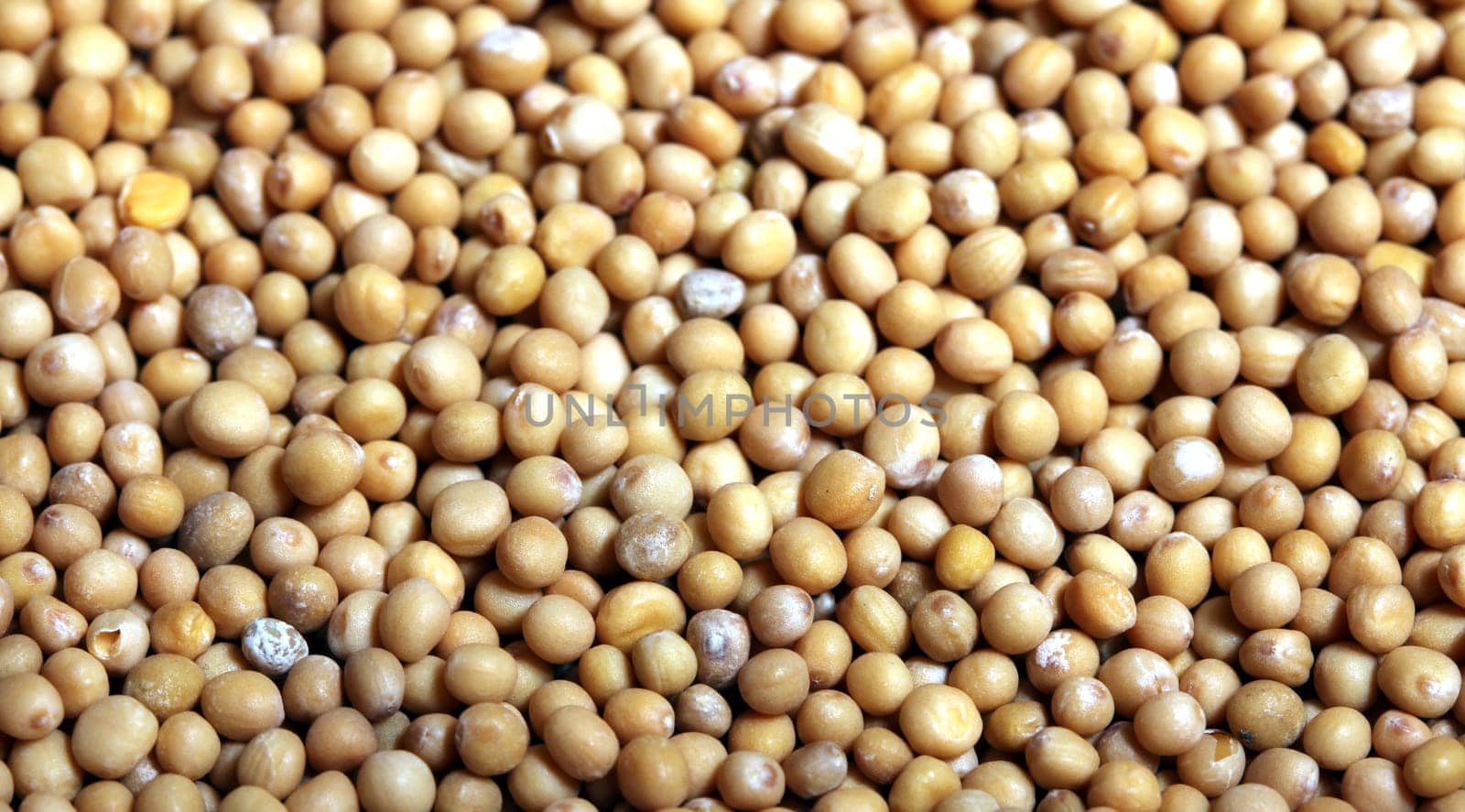mustard grains