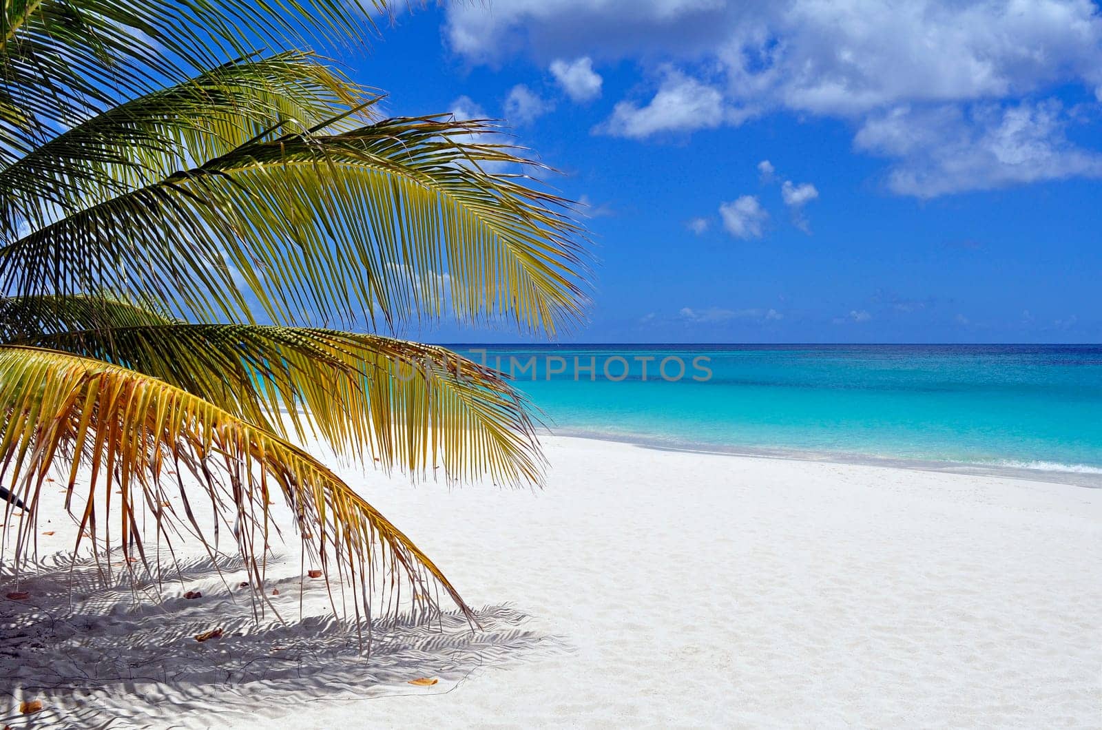 Fantastic view of a Caribbean beach.