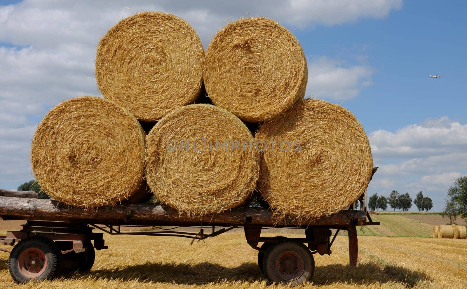 Straw rolls