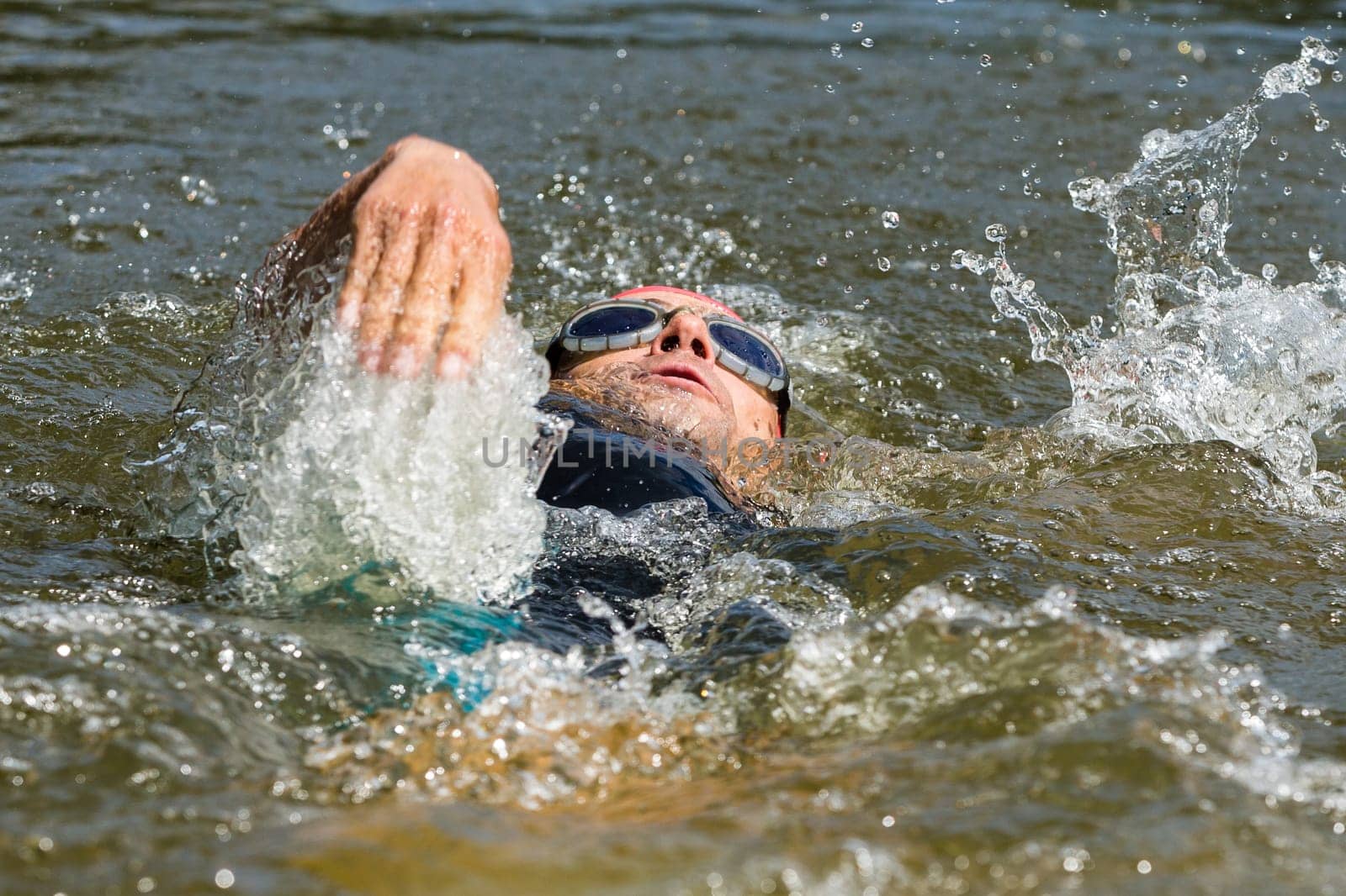 Backstroke swimmers