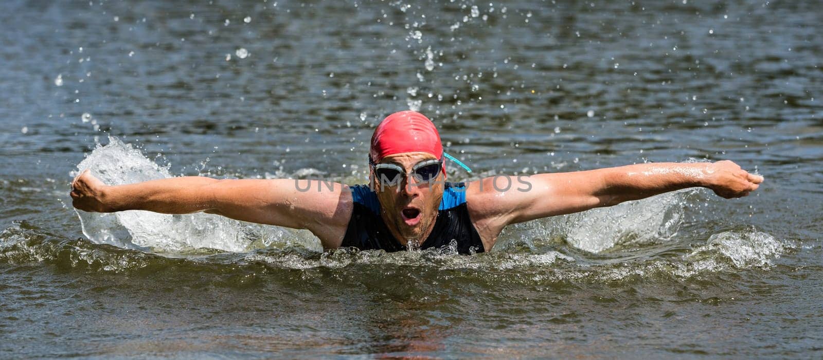 Dolphin swimmers