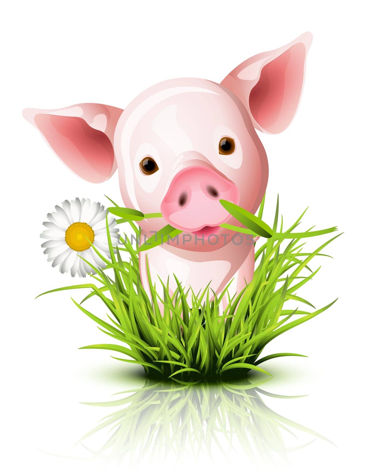 Little pink pig in green grass