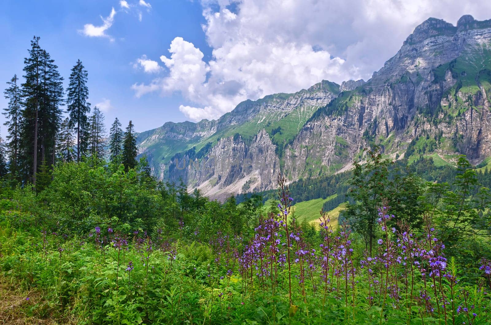 On the Pragel Pass