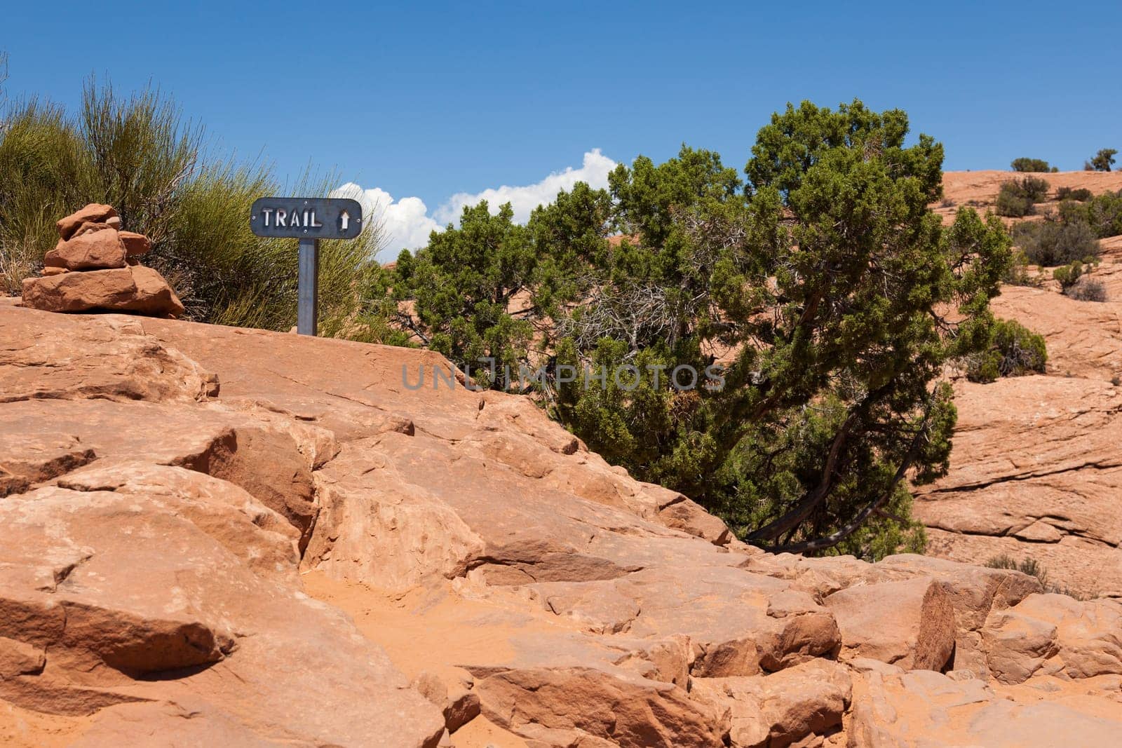 Arches national park in Utah  - USA