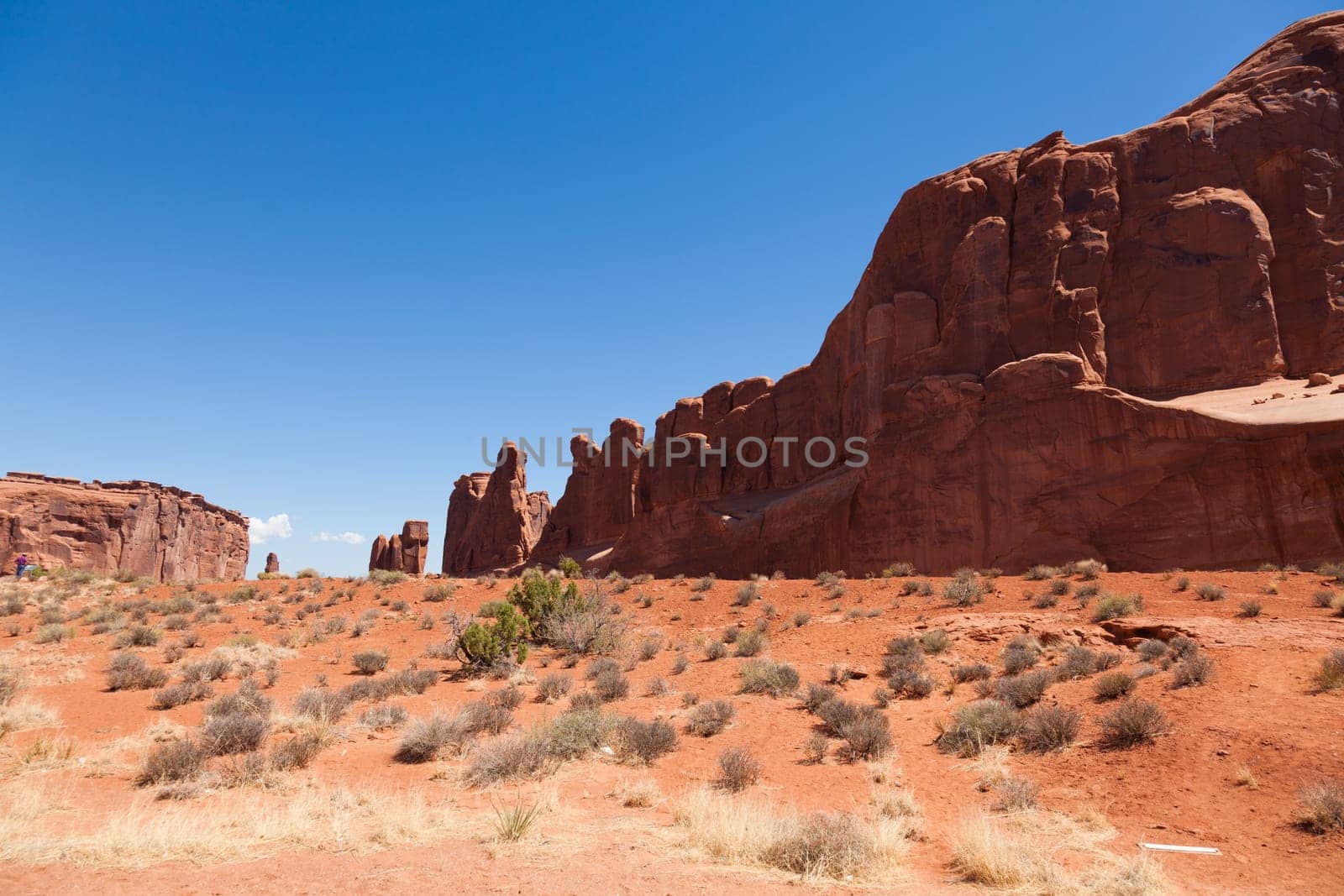 Arches national park in Utah  - USA