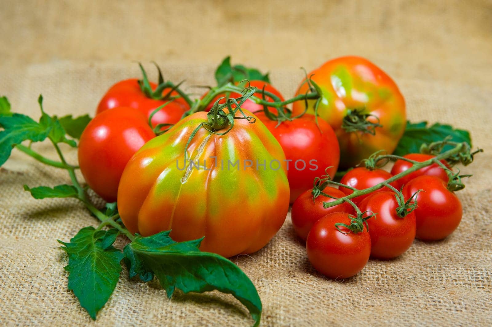 tomatoes