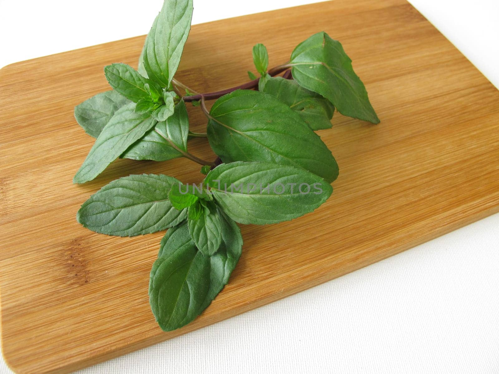 Lemon Mint